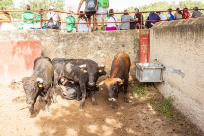 Espectaculares imágenes desde el Monte Valonsadero