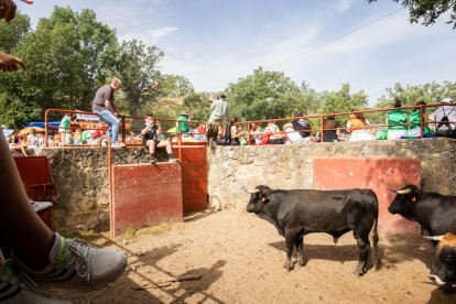Espectaculares imágenes desde el Monte Valonsadero