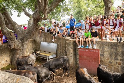 Espectaculares imágenes desde el Monte Valonsadero