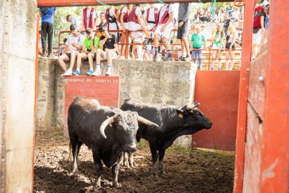 Espectaculares imágenes desde el Monte Valonsadero