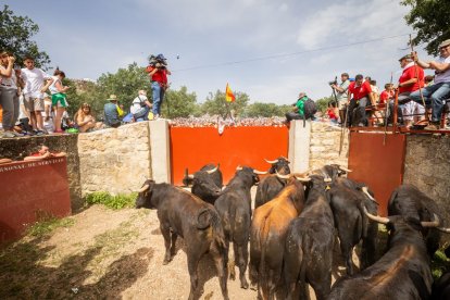Espectaculares imágenes desde el Monte Valonsadero