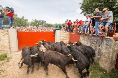 Espectaculares imágenes desde el Monte Valonsadero