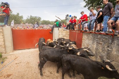 Espectaculares imágenes desde el Monte Valonsadero