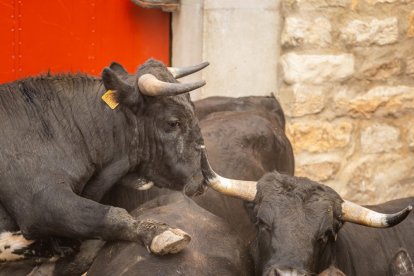 Espectaculares imágenes desde el Monte Valonsadero