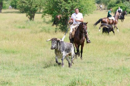 Espectaculares imágenes desde el Monte Valonsadero