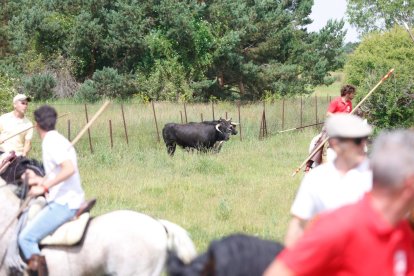 Espectaculares imágenes desde el Monte Valonsadero
