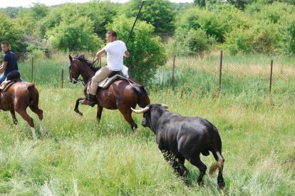 Espectaculares imágenes desde el Monte Valonsadero