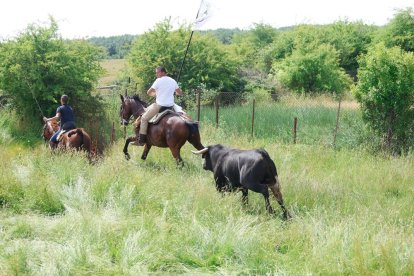 Espectaculares imágenes desde el Monte Valonsadero