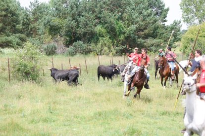 Espectaculares imágenes desde el Monte Valonsadero