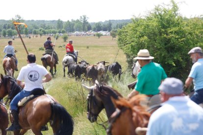 Espectaculares imágenes desde el Monte Valonsadero