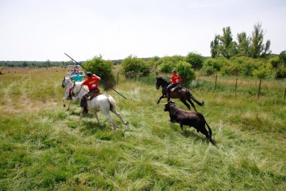Espectaculares imágenes desde el Monte Valonsadero