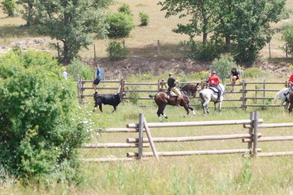 Espectaculares imágenes desde el Monte Valonsadero