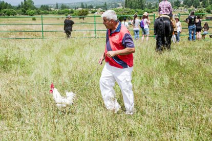 Un hombre con una gallina en la Saca.