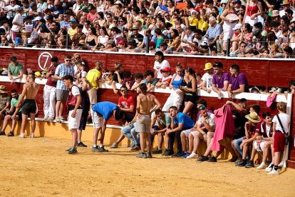 Llenazo en la plaza de toros
