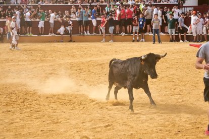 Llenazo en la plaza de toros