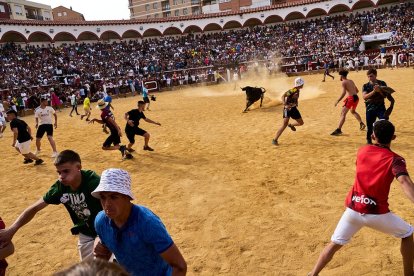 Llenazo en la plaza de toros