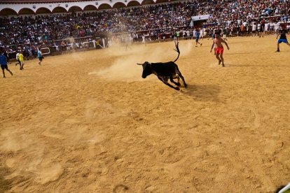 Llenazo en la plaza de toros