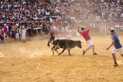 Llenazo en la plaza de toros