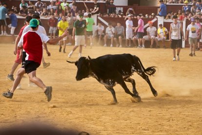 Llenazo en la plaza de toros