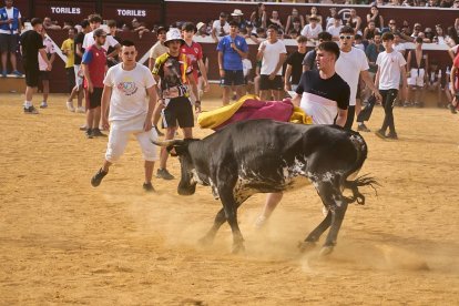 Llenazo en la plaza de toros
