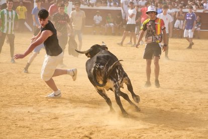 Llenazo en la plaza de toros
