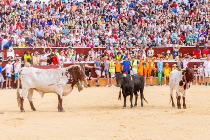 La tarde se vivió intensamente en una plaza de toros abarrotada