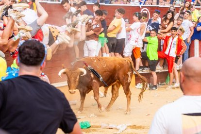La tarde se vivió intensamente en una plaza de toros abarrotada
