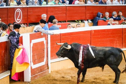 Castella, Manzanares y Rubén Sanz ponen el punto final en lo taurino a las fiestas de San Juan 2024.