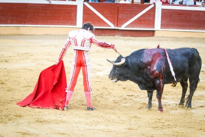 Castella, Manzanares y Rubén Sanz ponen el punto final en lo taurino a las fiestas de San Juan 2024.