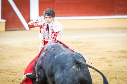 Castella, Manzanares y Rubén Sanz ponen el punto final en lo taurino a las fiestas de San Juan 2024.