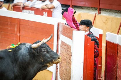Castella, Manzanares y Rubén Sanz ponen el punto final en lo taurino a las fiestas de San Juan 2024.