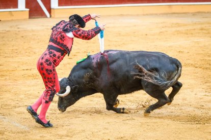 Castella, Manzanares y Rubén Sanz ponen el punto final en lo taurino a las fiestas de San Juan 2024.