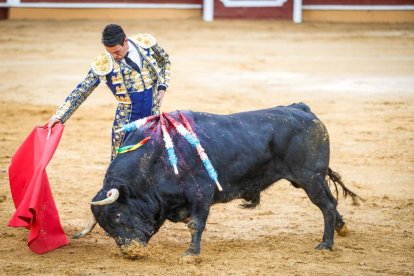 Castella, Manzanares y Rubén Sanz ponen el punto final en lo taurino a las fiestas de San Juan 2024.