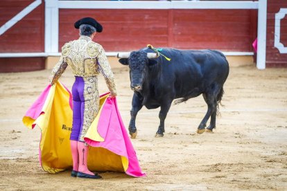 Castella, Manzanares y Rubén Sanz ponen el punto final en lo taurino a las fiestas de San Juan 2024.