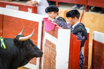 Castella, Manzanares y Rubén Sanz ponen el punto final en lo taurino a las fiestas de San Juan 2024.