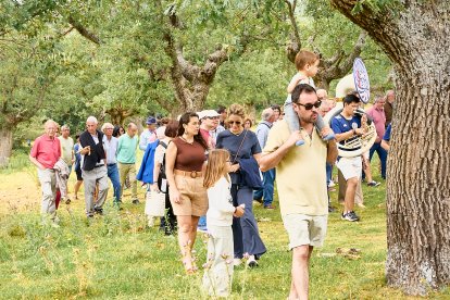 La romería tradicionalmente se hace andando, en bici, caballo o coche, aunque la mayoría prefiere ir a pie.