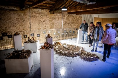 Las tres muestras se pueden visitar en el Espacio Santa Clara.