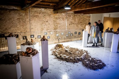 Las tres muestras se pueden visitar en el Espacio Santa Clara.
