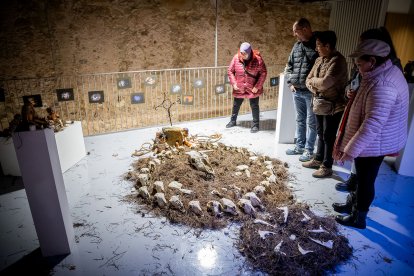 Las tres muestras se pueden visitar en el Espacio Santa Clara.