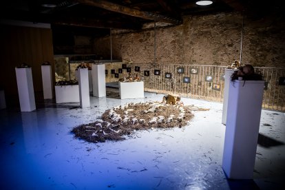 Las tres muestras se pueden visitar en el Espacio Santa Clara.