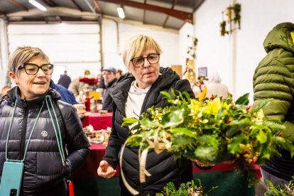 Un fin de semana en torno al arbusto y sus bayas rojas