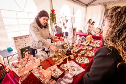 Un fin de semana en torno al arbusto y sus bayas rojas
