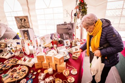 Un fin de semana en torno al arbusto y sus bayas rojas