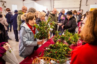 Un fin de semana en torno al arbusto y sus bayas rojas