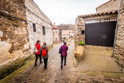 Un fin de semana en torno al arbusto y sus bayas rojas