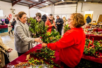 Un fin de semana en torno al arbusto y sus bayas rojas