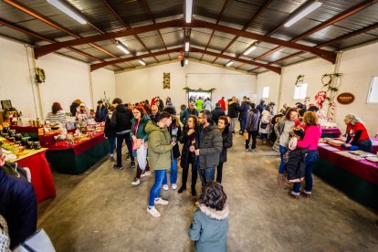 Un fin de semana en torno al arbusto y sus bayas rojas