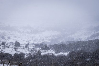La semana dejará aún más nieve