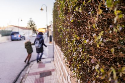 Avenida Cid Campeador