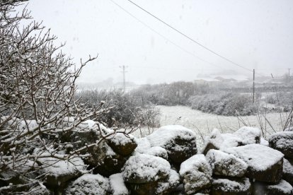 La nieve hace acto de presencia en Soria entrando por Pinares en este viernes.